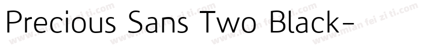 Precious Sans Two Black字体转换